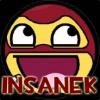 insanek