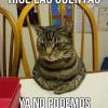 yonito24