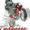 cadagoto