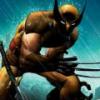 _wolverine_